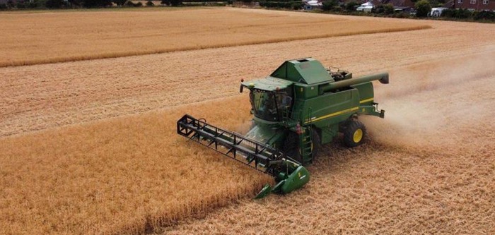 Yields up: despite dry summer