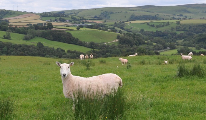 Farmers urged to sign up for FFRF advice delivered by Brown&Co