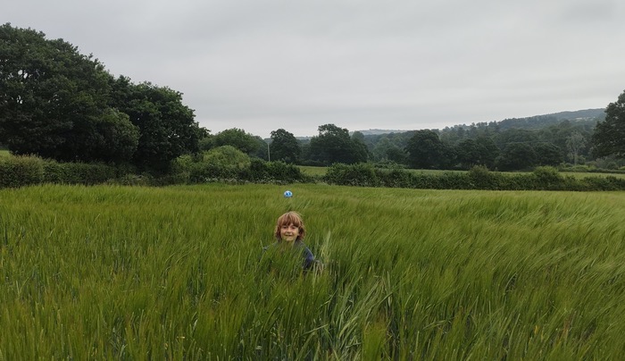 Spring barley boasts exceptional grain quality for own use