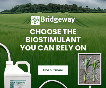 Power crops & beat stress with Bridgeway®