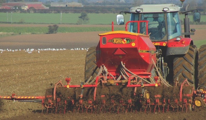 Six steps to spring barley success