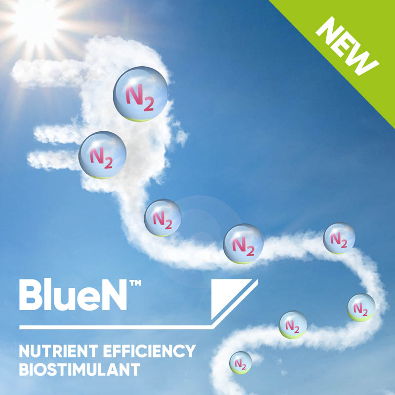 Plug into nitrogen from a sustainable source with BlueN.