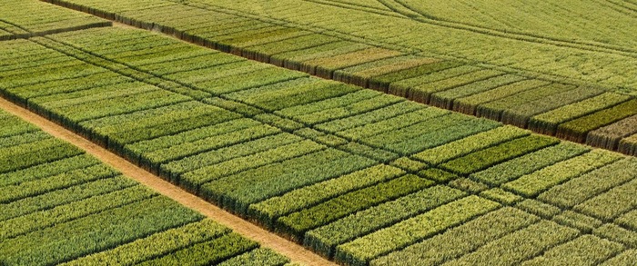 PGRs added to Adama crop protection range