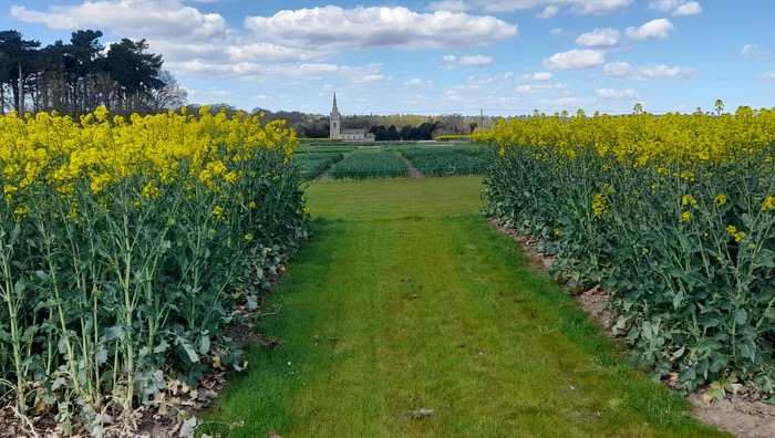 Cereals agronomy exhibitors preview plots