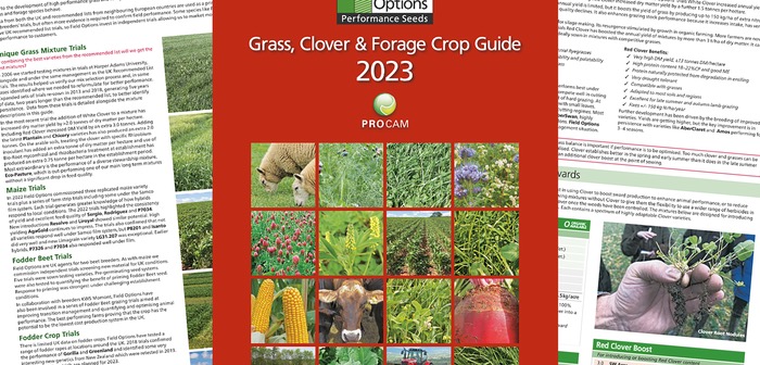 New grass guide offers useful forage planning advice and more