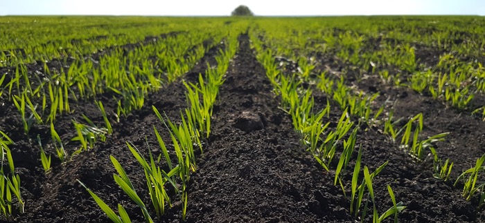 NRM’s annual national soil summary shows nutrient deficiencies across two thirds of UK soils
