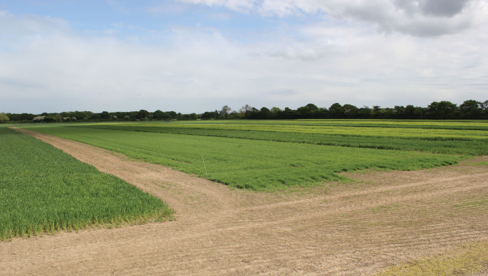 Field-scale trialling at Old Appleton