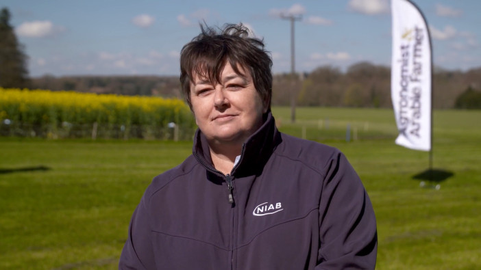 NIAB to have 20 crops on display at Cereals 2023