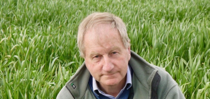 Leading wheat breeder welcomes NIAB award for Crusoe