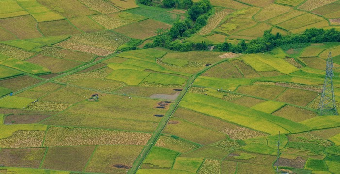 Farmers must embrace science and data to meet ‘multipurposing’ land demands