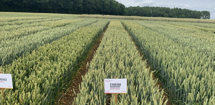 Successful trials event showcases strong variety portfolio