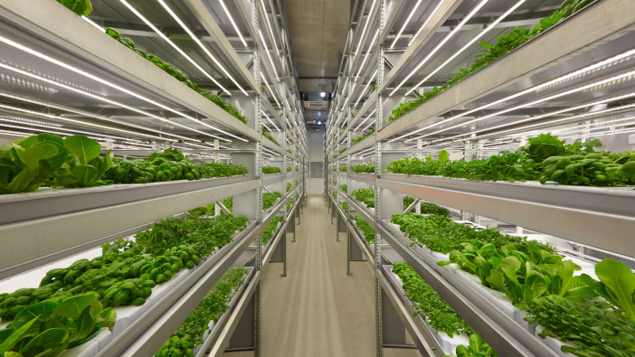 Renewable energy use in Scotland increasing viability of vertical farming