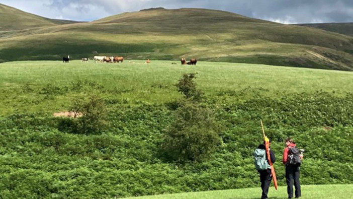 Study tracks impact of nature-friendly farming