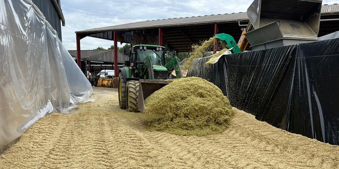 Don’t delay harvest and consider storing moist grain