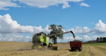 Murray delivers for OSR growers