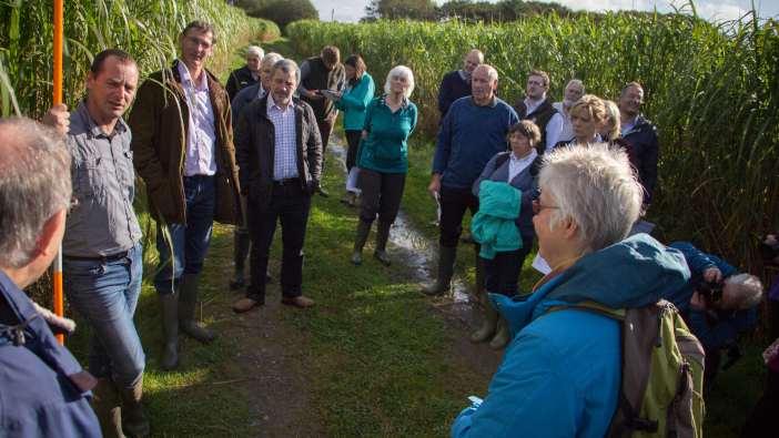 Norfolk farmer to host Miscanthus farm walk