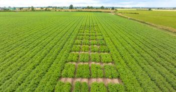 New approach to regulating precision bred products could unlock investment in crop genetic research