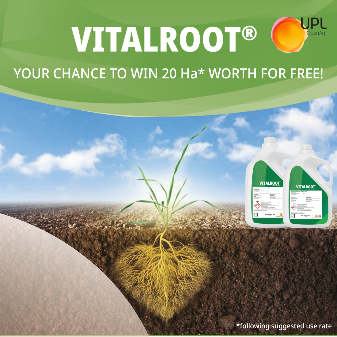 Join the VITALROOT Vitality Challenge this autumn!