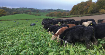 NAGA 2023: Grassland Manager of the Year