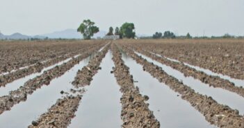 Check for nutrient shortfalls following storms