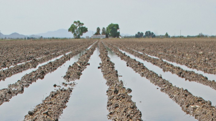 Check for nutrient shortfalls following storms