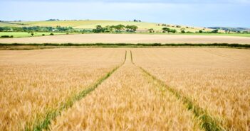 Decarbonised distilling partnership to help future proof farms