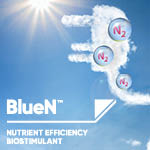 Plug into nitrogen from a sustainable source with BlueN