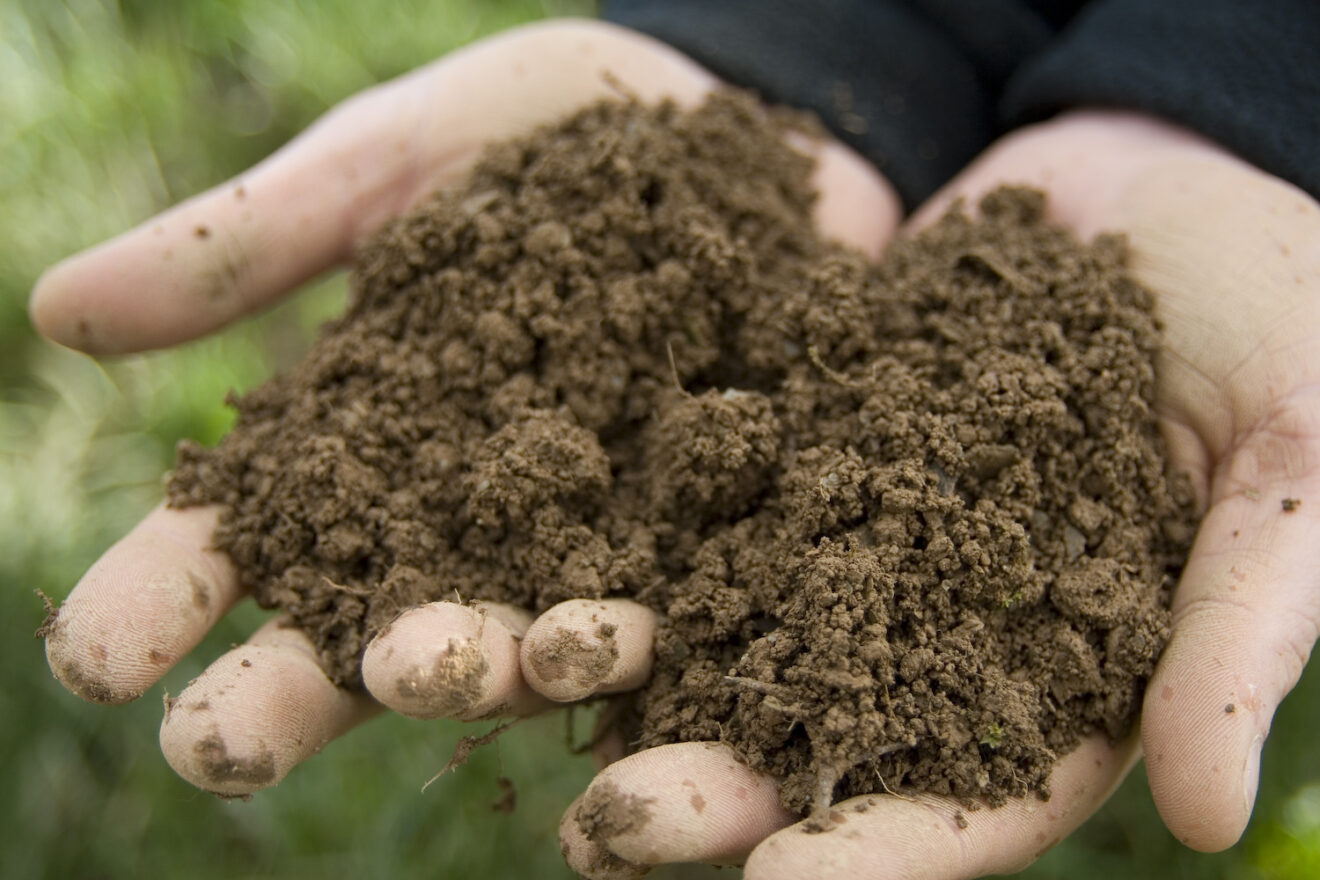 Government soil health priorities thrown into question