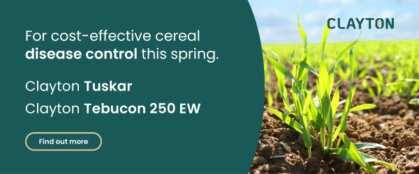 AAF-CPP-enewsletter-banner-Spring-Cereal-Fungicides-2-2024_01