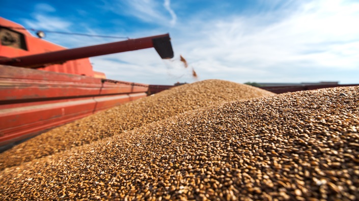 Has the slide in grain prices ‘bottomed out’?