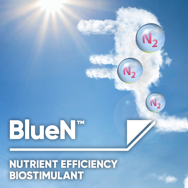 Plug into nitrogen from a sustainable source with BlueN.
