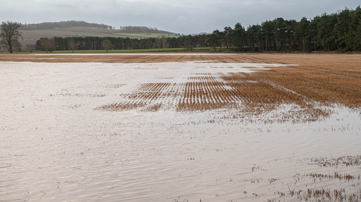 Fund opens to support farmers affected by flooding
