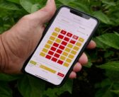 Potato agronomy forecasts now available in myField